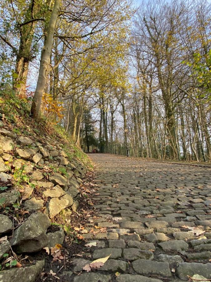 Vakantiewoning De Kassei Max 12personen Geraardsbergen