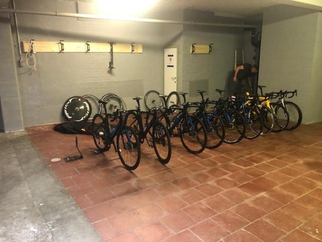 Vakantiehuis Vakantiewoning De Kassei Max 12personen *